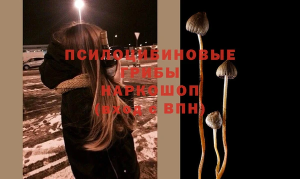 ГАЛЛЮЦИНОГЕННЫЕ ГРИБЫ Аркадак