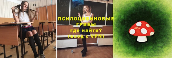 ГАЛЛЮЦИНОГЕННЫЕ ГРИБЫ Аркадак
