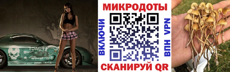 Галлюциногенные грибы Psilocybe Таруса